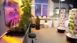 В лаборатории «Сириус26» в Ставрополе выращивают овощи без использования грунта
